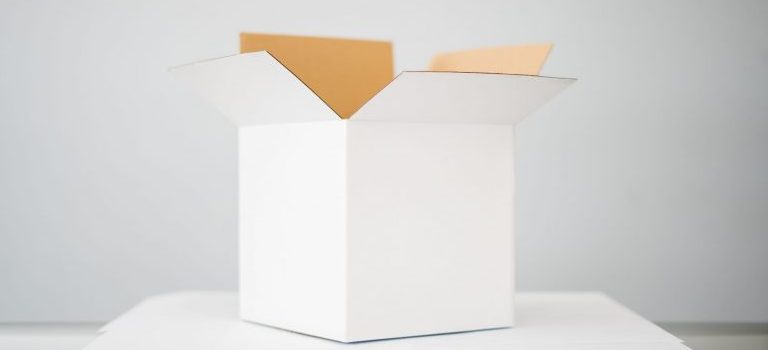 moving and storage Washington DC- a box