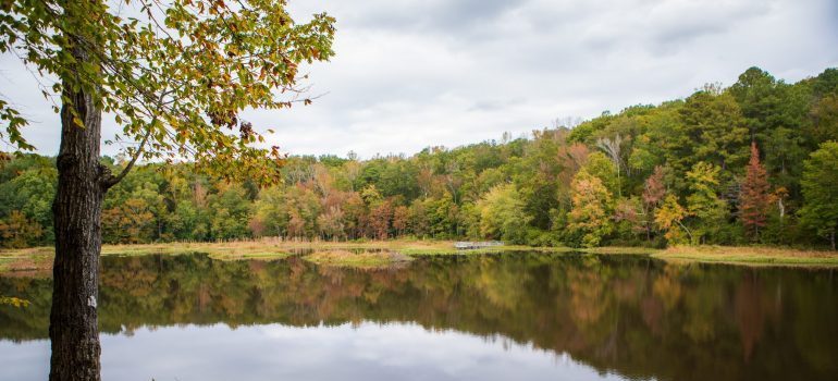 A lake in Virginia during fall.