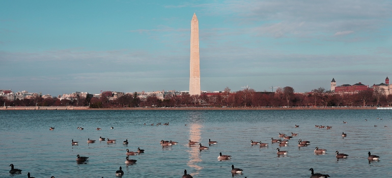 Washington DC monument 