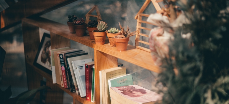 books and plants on a shelf 