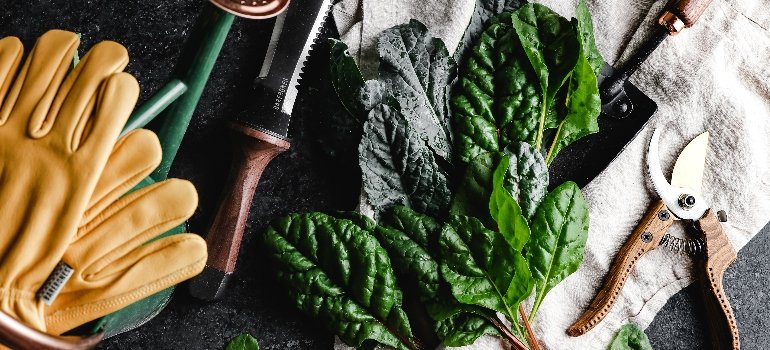 Gardening tools neatly organized in a shed, showcasing storage tips for a seamless transition into fall