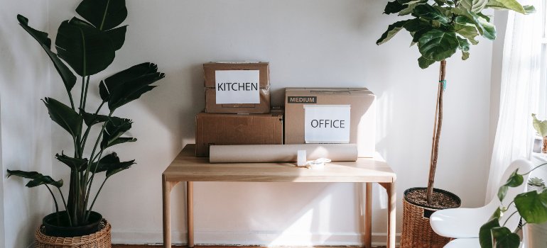 Cardboard boxes labeled 'KITCHEN' and 'OFFICE' neatly stacked on a console table by a large, leafy indoor plant, suggesting a process of organization or moving.